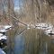 Creek in Ellison