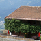 Hausstatt 1