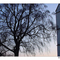 Eberstein | Saualpe | Mirnig