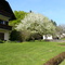 Trattnig im Frühjahr