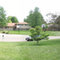 Buttercreek Circle Panorama