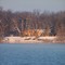 The Island
