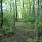 Trail 2
