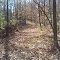 Fall on the trails