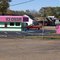 Pink Ice Cream