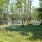 Swamp