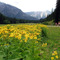 Pertisau, Karwendelpark