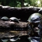Asheboro Zoo, Asheboro, NC