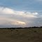 Hay Season