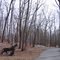Artwork along the trails