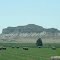 Scottsbluff