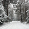 Downer Road