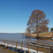 Cross Lake, LA