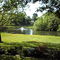 The Pond