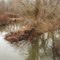 Raccoon Creek Above Russell Mill Road