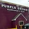 Purple Orchid Gentlemen's Club