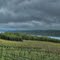 Spring Shower on Lake Keuka