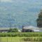 Keuka Lake Wine Cellar