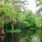 Quiet solitude in backland Louisiana