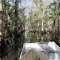 Louisiana swamp tour September 2012