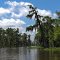 Bayou Black Air Boat Tour