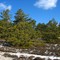 quogue sandpit