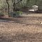Quogue Wildlife Sanctuary