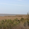 Looking west from the top of the levee on the south side of route 23 near Buras, Louisiana  (June 2006)