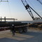 Newman Crane Sunrise