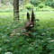 Garden Sculpture at Quail Hollow State Park