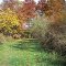 Walborn Shoreline Trail