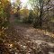 Walborn Shoreline Trail