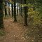 Walborn Loop Trail