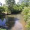 Tickfaw River @ Hwy 10 North View
