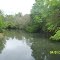 Tickfaw River @ Hwy 1045 North View