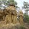Natural Sculptures