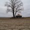 Sharecropper cabin