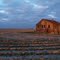 Sharecropper Shack Mississippi Delta