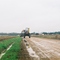 W/B Albemarle Rd; Sugar Plantation post-Harvest