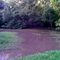 Albemarle Pantation @ Baker Canal - Fishing Hole