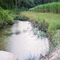 Albemarle Sugar Plantation East Field & Drain