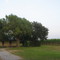 Sugar Plantation, Fieldhand's Cabin
