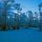 Marshland406DSC_5911IR