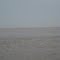 The edge of the Gulf of Mexico