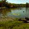 point chevreuil sampling pt