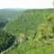Pine Creek Gorge from Barbour Rock