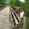Marsh Creek Rail Trail Trestle