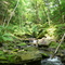 Colton Point State Park