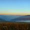 Wellsboro Area