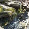 Leonard Harrison State Park Waterfall (~15')